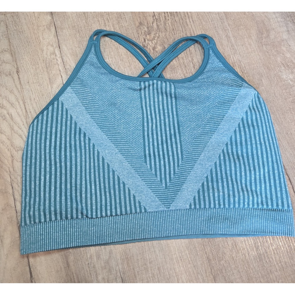 Smartwool Striped Blue Sports Bra